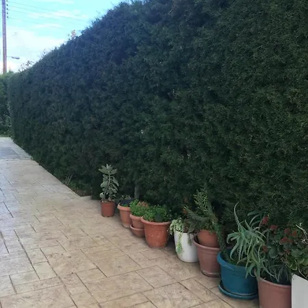 Livadia * パ フォス